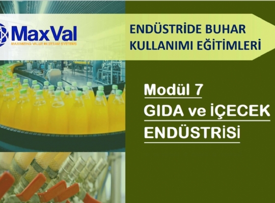  WEBINAR EĞİTİMİ: 7. MODÜL - GIDA ENDÜSTRİSİNDE BUHAR KULLANIMI