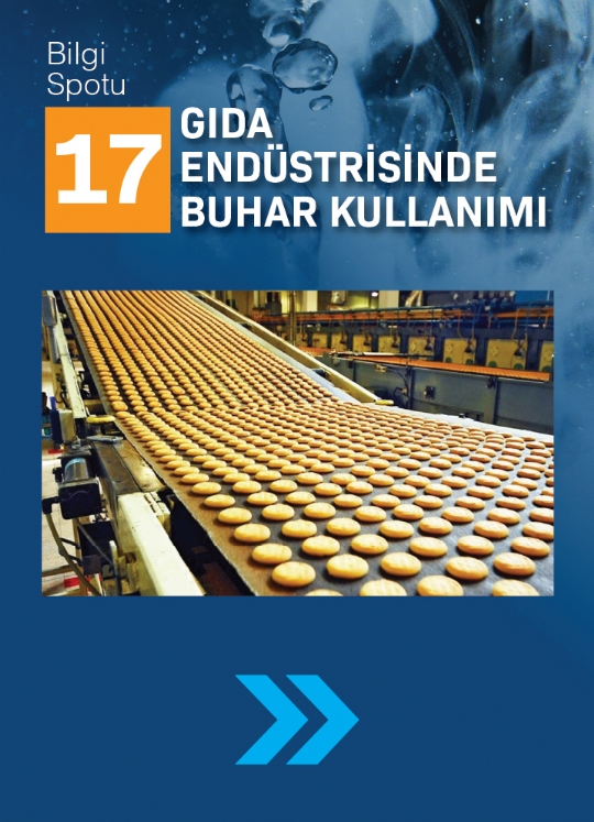 SPOT 17 / GIDA ENDÜSTRISINDE BUHAR KULLANIMI
