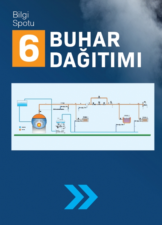 SPOT 6 / BUHAR DAĞITIMI
