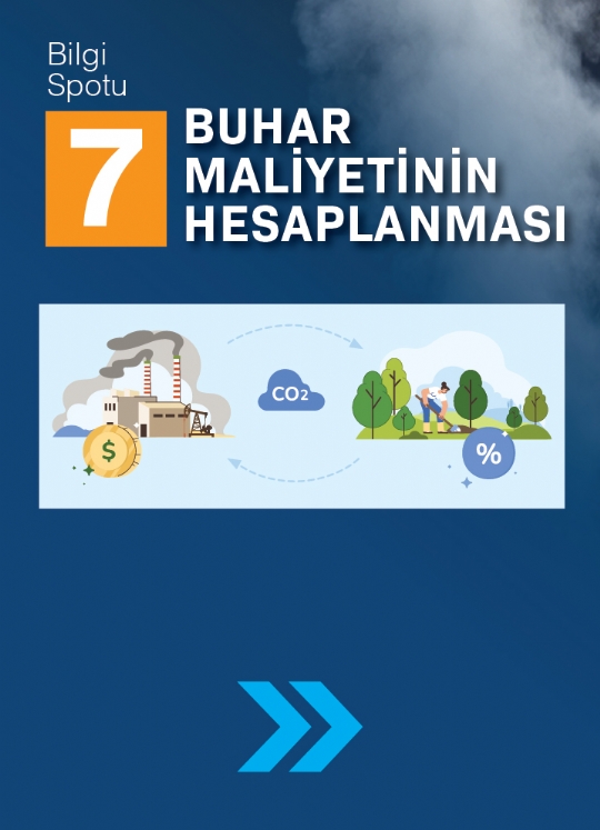 SPOT 7 / BUHAR MALİYETİNİN HESAPLANMASI