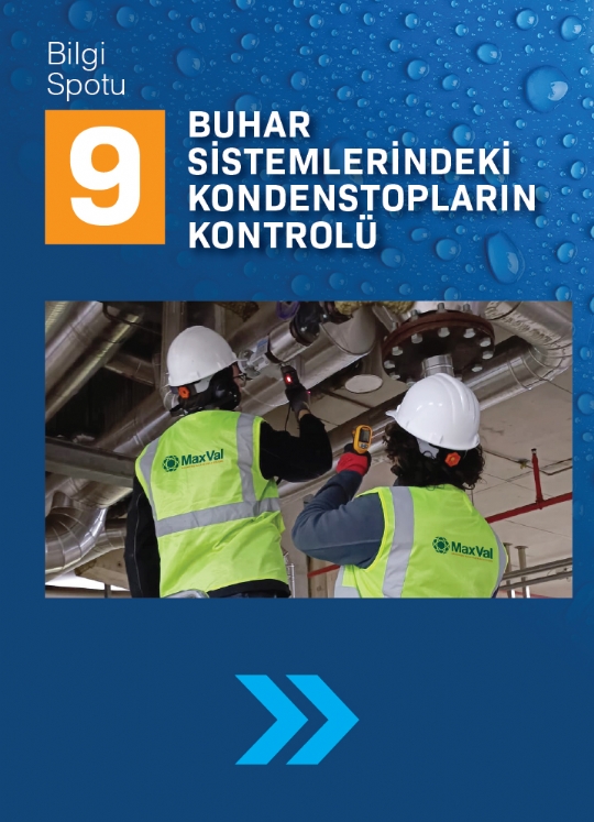SPOT 9 / BUHAR SİSTEMLERİNDEKİ KONDENSTOPLARIN KONTROLÜ