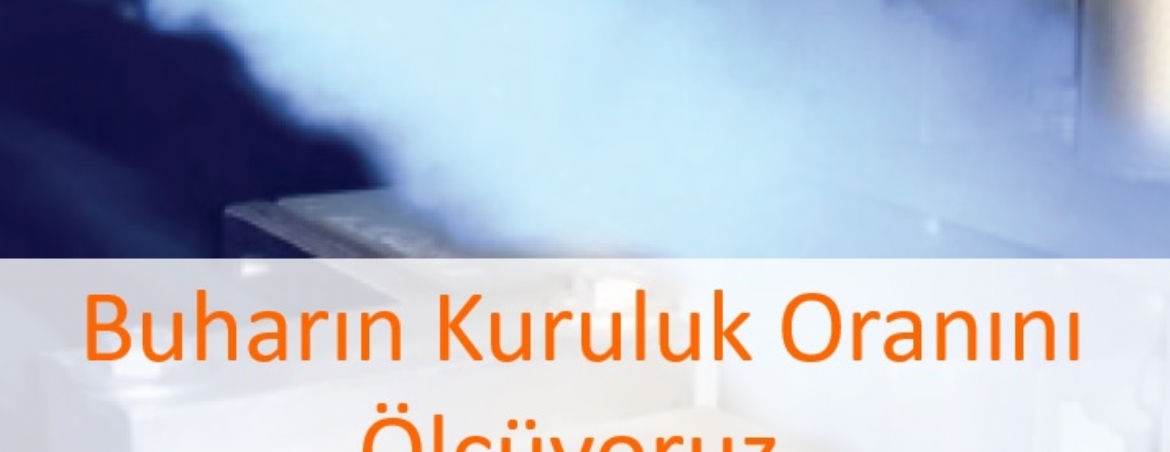 Buharın Kuruluk Oranı