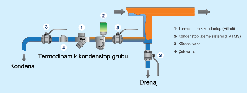 PROSESLERDE SICAKLIK KONTROLÜ ve KONDENS TAHLİYESİ