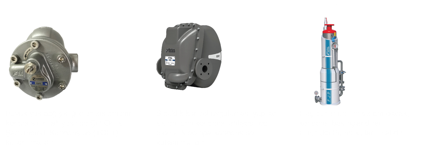 GIDA ENDÜSTRİSİNDE BUHAR KULLANIMI - görsel 4